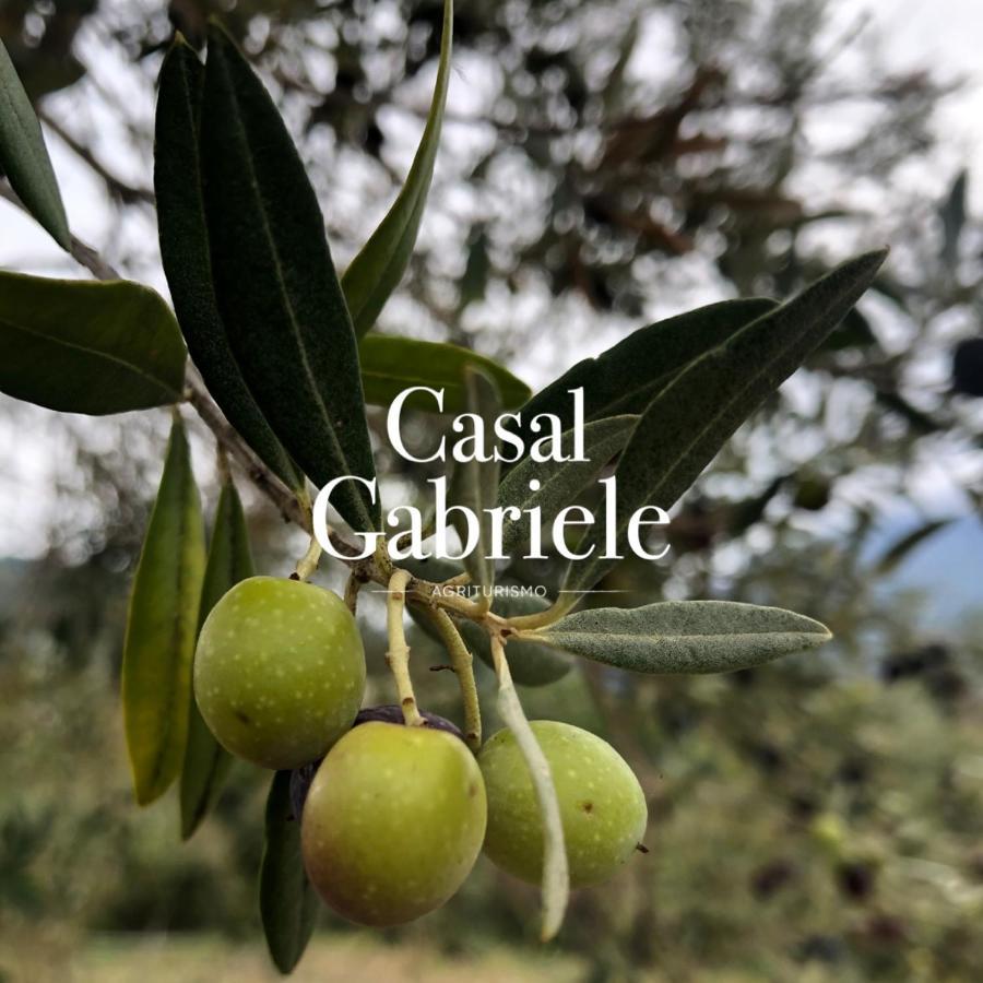 レッテレ Casal Gabrieleヴィラ エクステリア 写真